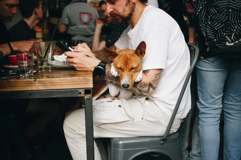 Restaurant chiens acceptés à Penvénan