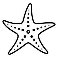 etoile-de-mer